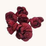 Capete Boboc Bujor 6cm BORDO set x6