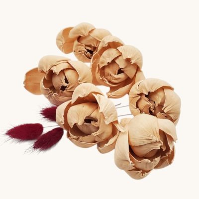 Capete Boboc Bujor 6cm CAPPUCCINO set x6