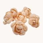 Capete Boboc Bujor 6cm PIERSICA set x6