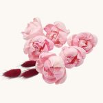 Capete Boboc Bujor 6cm ROZ PAL set x6