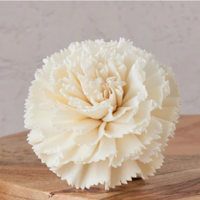 Capete Garoafa Ming 6cm alb-natur set x8