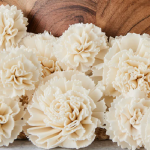 Capete Garoafa Ming 6cm alb-natur set x8