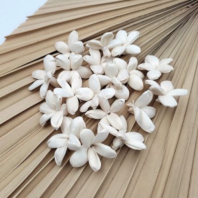 Capete Iasomie Ming 3-4cm Alb natur set x20