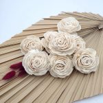 Capete Ranunculus Ming 6cm Alb natur set x8