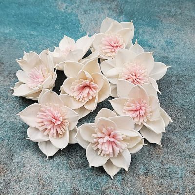 Capete Dalia Ming 5cm DUO alb roz x8