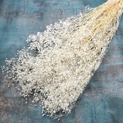 Floarea miresei Gypsophila stabilizata Alb