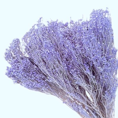 Flori uscate Broom Bloom premium Lavanda set 100g