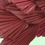 Frunze Palmier Mini Bordo set x10