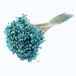 Glixia Marcela PR 50g 30cm Azur