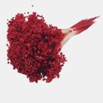 Glixia Marcela PR 50g 30cm Rosu inchis