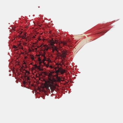 Glixia Marcela PR 50g 30cm Rosu inchis