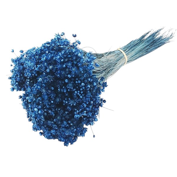 Glixia Marcela PR 50g 30cm Royal Blue Glixia Marcela PR 50g 30cm Royal Blue