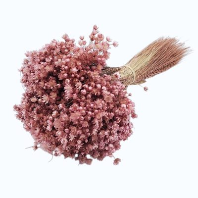 Glixia Marcela PR 50g 30cm Roz Lila