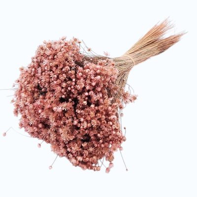 Glixia Marcela PR 50g 30cm Roz Pal