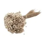 Glixia Marcela PR 50g 30cm Alb natur