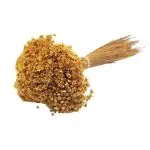 Glixia Marcela PR 50g 32cm Galben cald