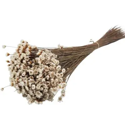 Glixia PR 50g 50cm Alb natur