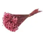 Glixia PR 50g 50cm Roz