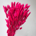 Lagurus premium Cyclam intens set 100g