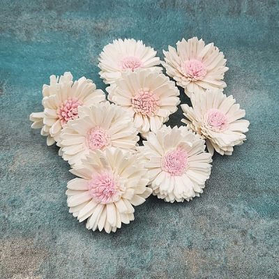 Margarete Ming 6cm DUO alb roz x8