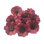 Margarete petale lemn 6cm Bordo x10