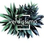 logo verissimo