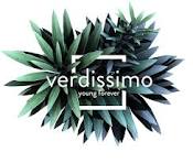 logo verissimo