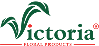 logo victoria