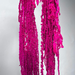 Amaranthus stabilizat Fuchsia 100cm