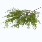 Asparagus artificial tufa verde 62cm