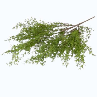 Asparagus artificial tufa verde 62cm