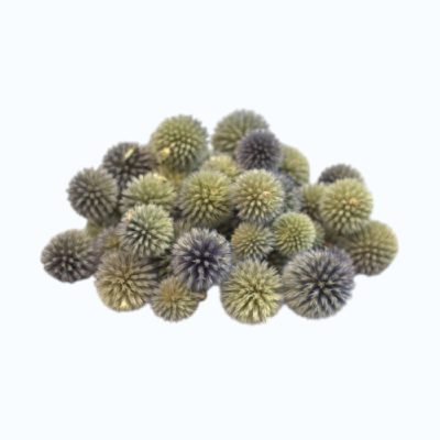 Capete Scai Echinops natur set 100g