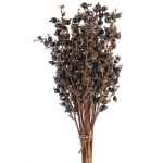 Creanga Coacaze uscate set x10