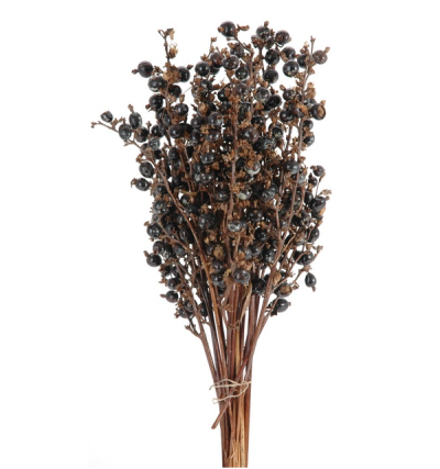 Creanga Coacaze uscate set x10