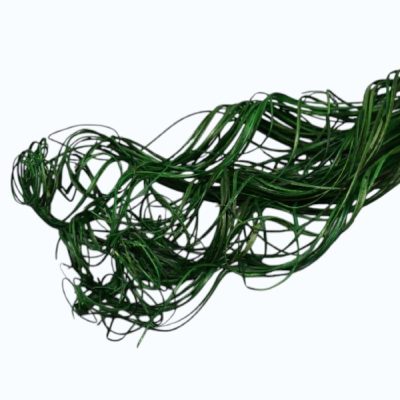 Curly ting ting scoarta palmier Verde inchis