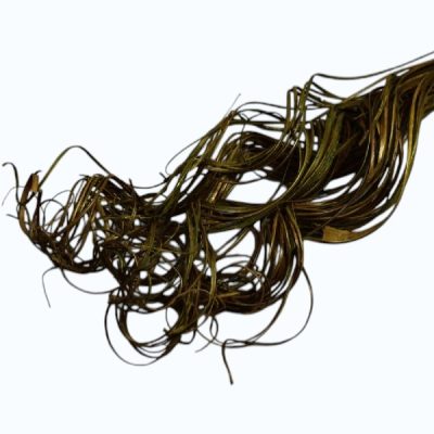 Curly ting ting scoarta palmier Maron