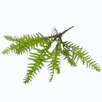 Feriga artificiala verde Wild 43cm