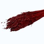 Ovăz Bordo set 150g