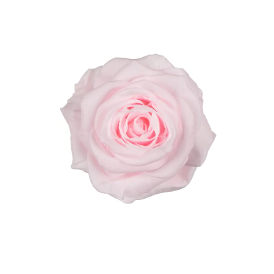 Trandafir criogenat RA XS 3cm Roz pal