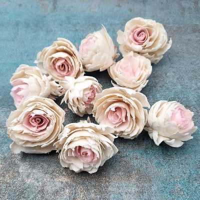 Capete Trandafiri Ming 4cm DUO alb roz x10