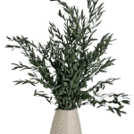 Eucalipt Stabilizat Nicoly Verde cald HQ