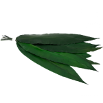 Frunze tropicale stabilizate, verde set x8