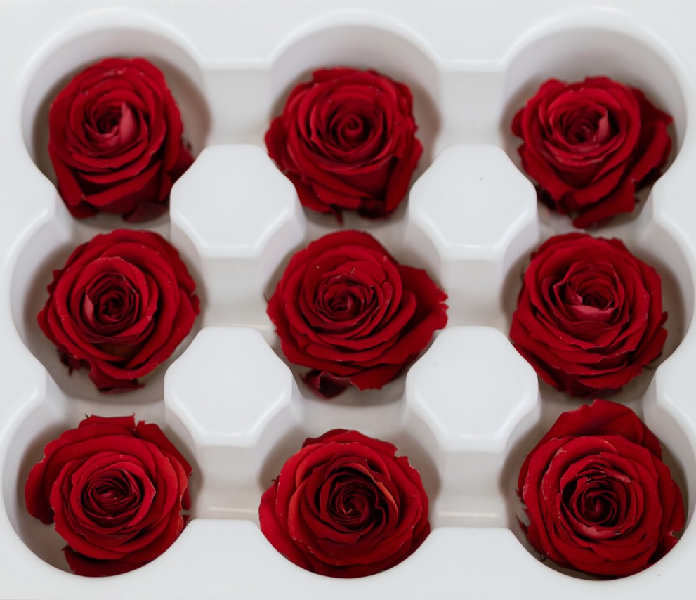 Trandafir stabilizat rosu 3.5cm set 9buc