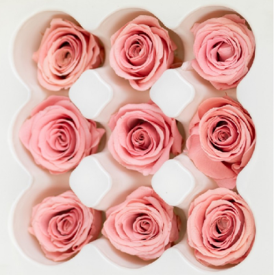 Trandafir stabilizat Roz Somon 3.5cm set 9buc