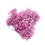 Hortensia Criogenata la Cutie Magenta
