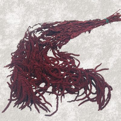 Amaranthus Stabilizat, Promo bordo set 150g