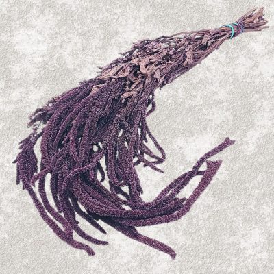 Amaranthus Stabilizat, Promo liliac set 150g