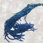 Amaranthus Stabilizat, Promo royal blue set 150g
