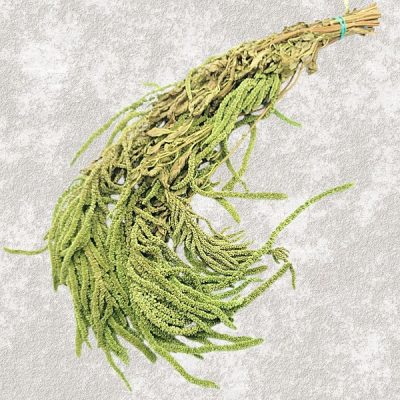 Amaranthus Stabilizat, Promo verde deschis set 150g