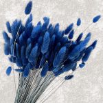 Lagurus Albastru inchis 60cm